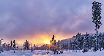 Winterlandschaft Bodenmais